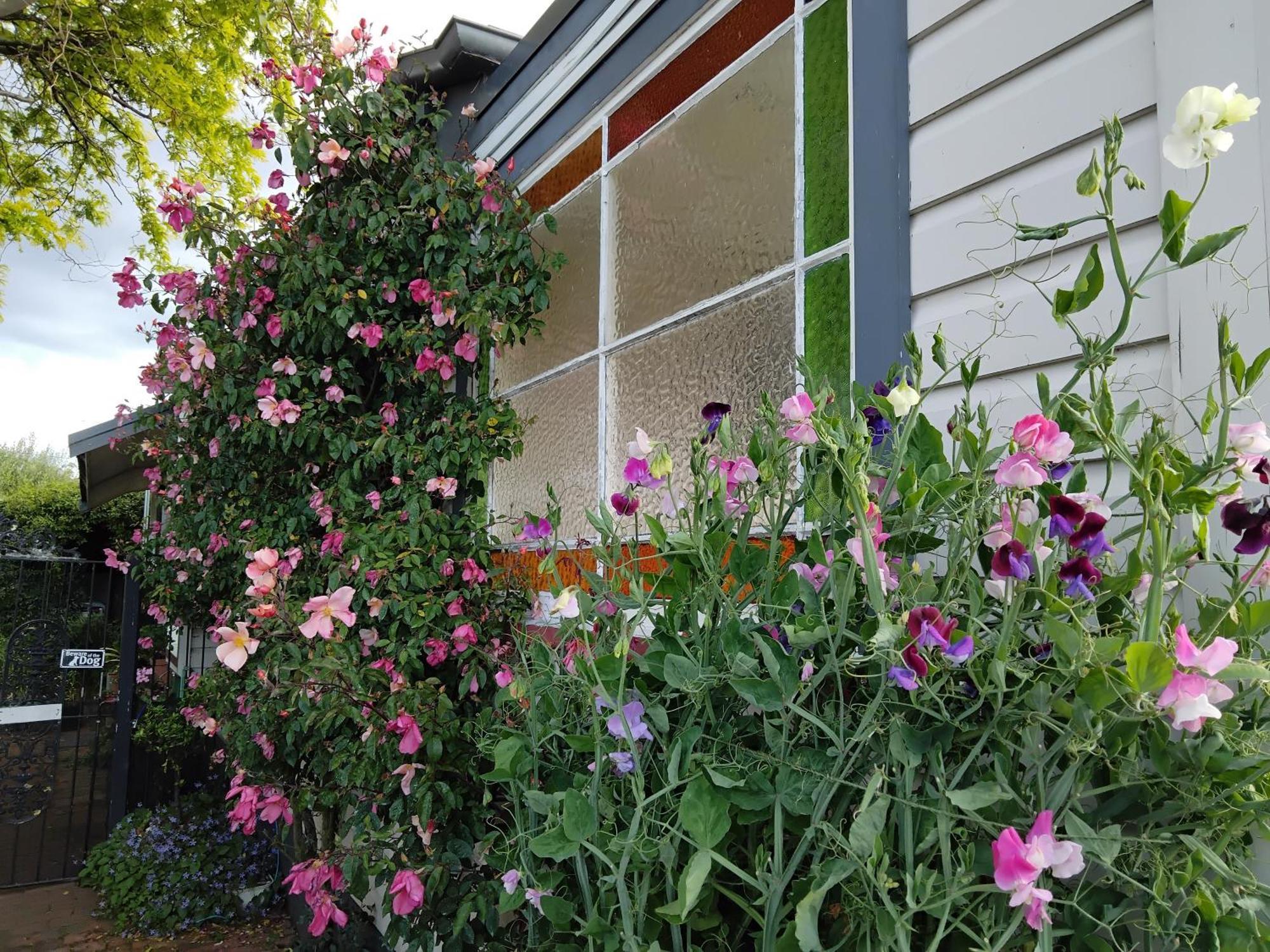 Guthrie Cottage Havelock North Ngoại thất bức ảnh
